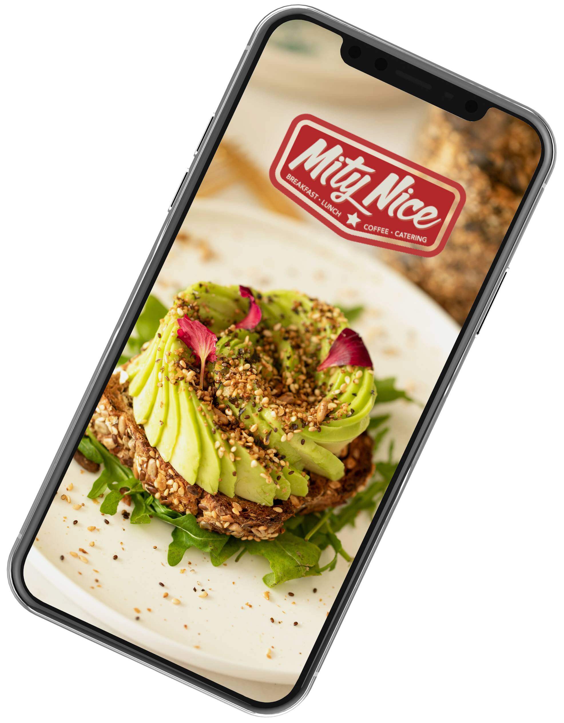 mobile-app-image